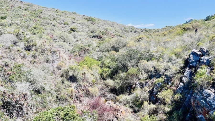 0 Bedroom Property for Sale in Shelley Point Western Cape